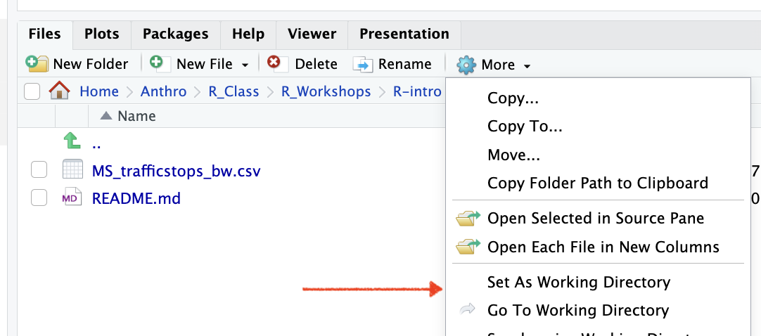 How to set a working directory in the RStudio interface